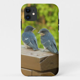 Case-Mate iPhone Case Bébé Grange hirondelle Nature Oiseau Photographie