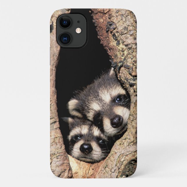 Coques Case-Mate iPhone Bébé Raccoons se jetant dans l'arbre (Dos)