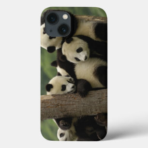 iPhone 13 Case Bébés panda géant Ailuropoda melanoleuca)