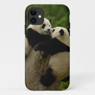 Coques Pour iPhone Bébés pandas géants (Ailuropoda melanoleuca)