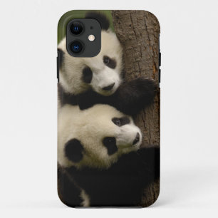Coque Case-Mate Pour iPhone Bébés pandas géants (Ailuropoda melanoleuca) 2