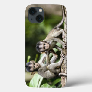 Case-Mate iPhone Case Bébés singes dans la nature