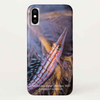 Coques Pour iPhone Bécasseau
