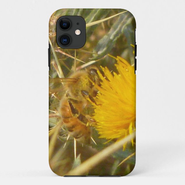Coques Case-Mate iPhone Bee and Star Thistle (Centaurea solstitialis) (Dos)