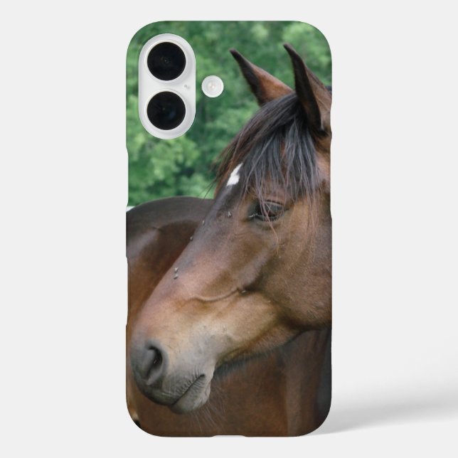 Coques Case-Mate iPhone Belle Baie Cheval Face (Verso)