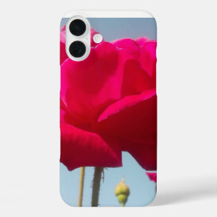 iPhone 16 Plus Case Belle belle Rose céleste rouge contre bleu