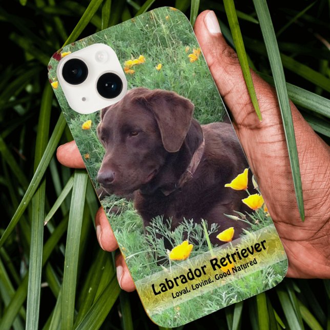 Coques Case-Mate iPhone Belle Chocolate Lab Do in Poppy Patch (Créateur téléchargé)