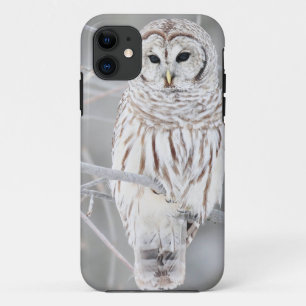 Case-Mate iPhone Case Belle conception blanche de hibou de neige