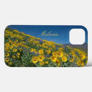 Case-Mate iPhone Case Belle fleur de Balsamroot