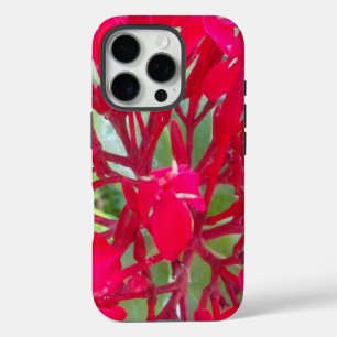iPhone 16 Pro Case Belle fleur de sang Milkweed Art Imprimer/Graphiqu