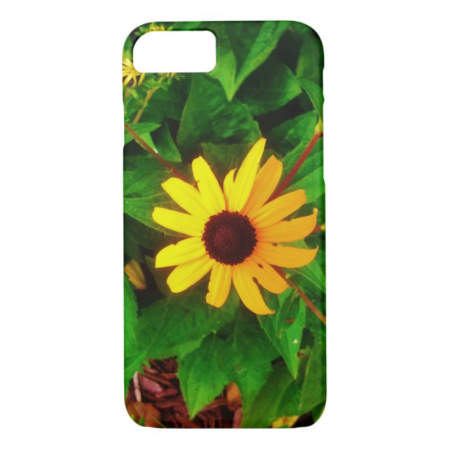 Coques Case-Mate iPhone Belle Fleurs Susan Black Eyed (Dos)