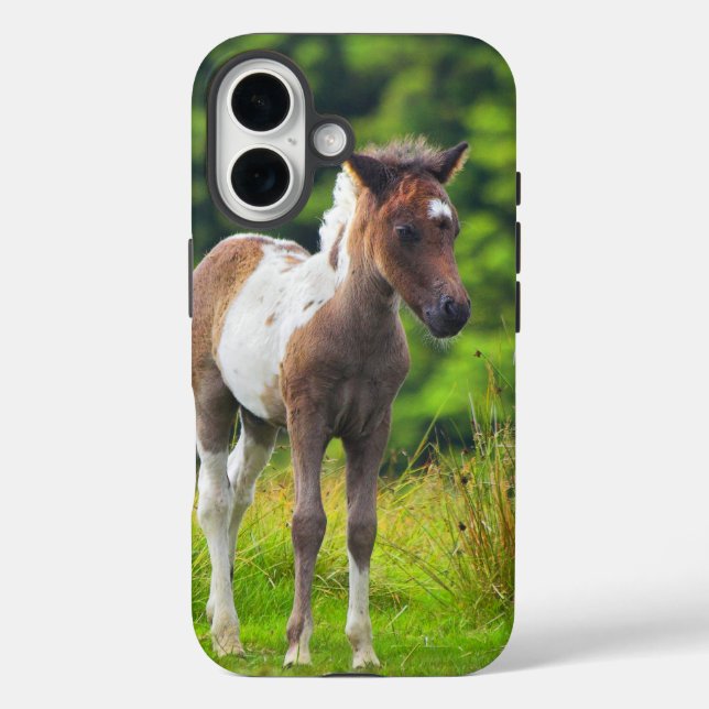 Coques Case-Mate iPhone Belle fosse de péniche Dartmoor Standing (Verso)