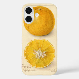 Coque Pour iPhone 16 Belle Oeuvre Orange