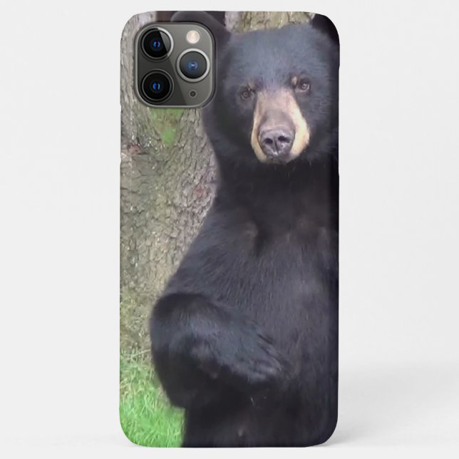 Coques Case-Mate iPhone Belle Ours Noir (Dos)
