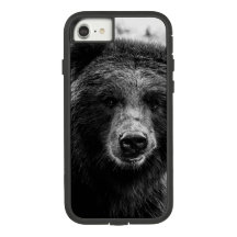 Belle photo d'ours gris