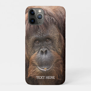 Case-Mate iPhone Case Belle photographie de Borneo Orangutan