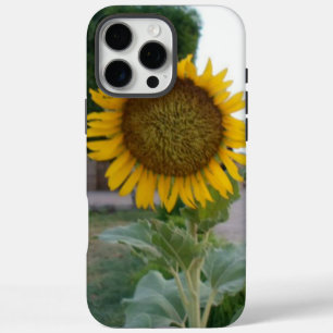 iPhone 16 Pro Max Case Belle Tournesol Superbe