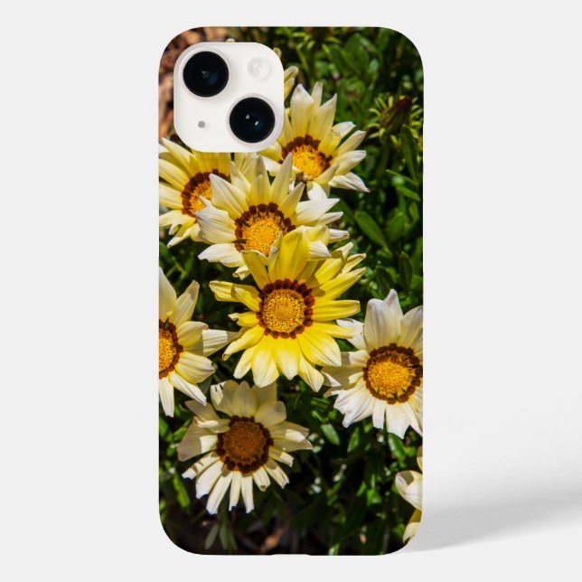 Coques Case-Mate iPhone Belles fleurs jaunes de Gazania dans le jardin (Verso)