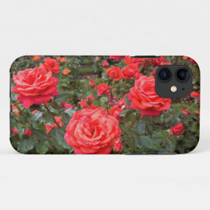 Case-Mate iPhone Case Belles Roses, Portland, Oregon