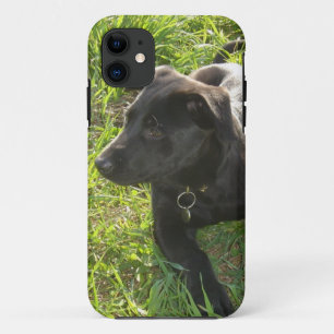 Case-Mate iPhone Case Berger allemand noir de laque