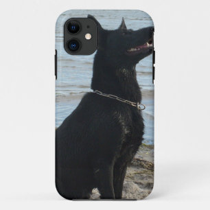Coque iPhone 11 Berger allemand noir de laque