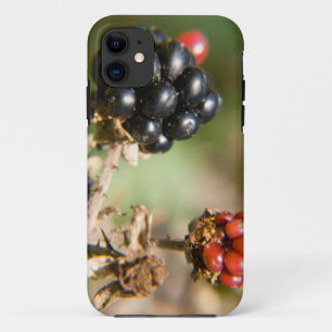 Etui iPhone Case-Mate Berries d'automne