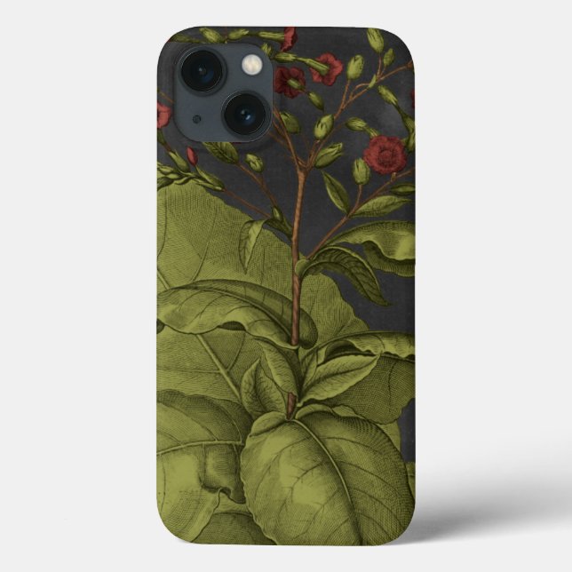 Coques Case-Mate iPhone Besler Dramatique I (Verso)