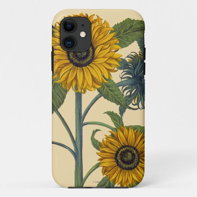 Coques Case-Mate iPhone Besler : Tournesol (Dos)