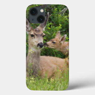 iPhone 13 Case Biche de cerf mulet avec faon
