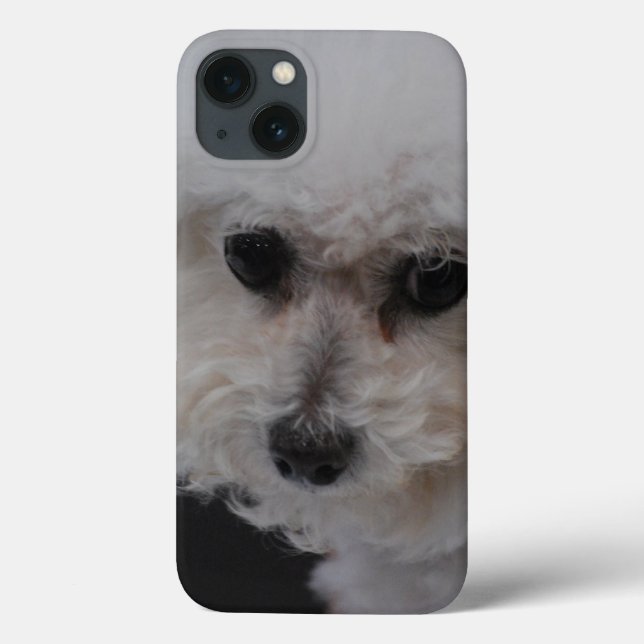 Coques Case-Mate iPhone Bichon doux Frise (Verso)