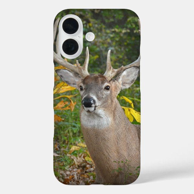 Coques Case-Mate iPhone Big Buck In Woods (Verso)