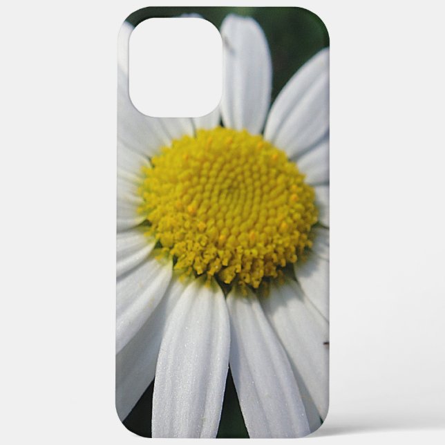 Coques Case-Mate iPhone Big Daisy (Verso)