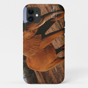 Case-Mate iPhone Case Big Red