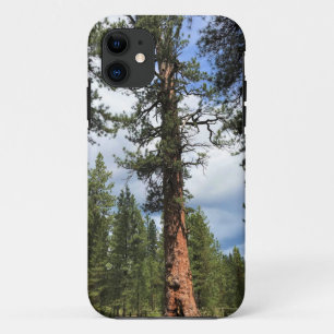 Case-Mate iPhone Case Big Red Tree, La Pine OU