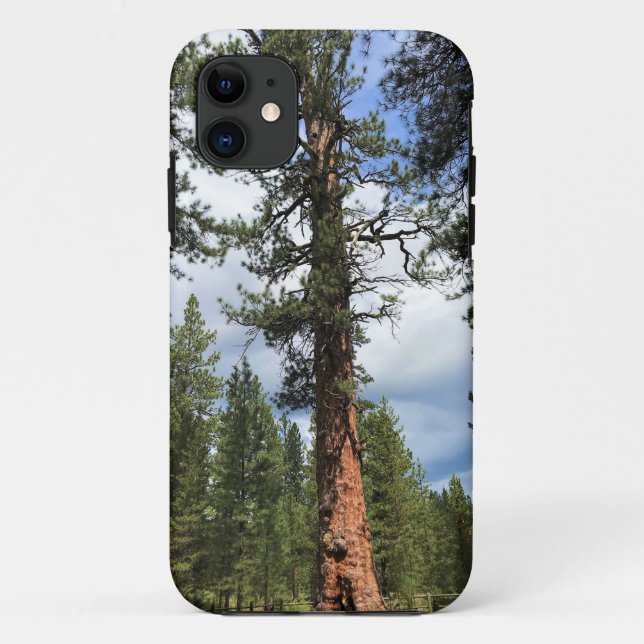 Coques Case-Mate iPhone Big Red Tree, La Pine OU (Dos)
