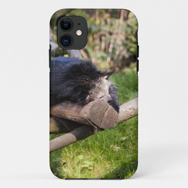 Coques Case-Mate iPhone Binturong endormi (Dos)