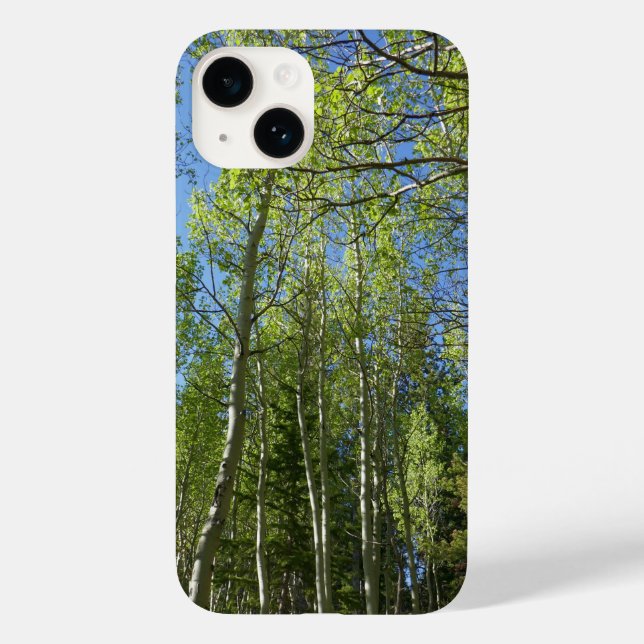 Coques Case-Mate iPhone Birch Trees d'été à Rocky Mountain (Verso)