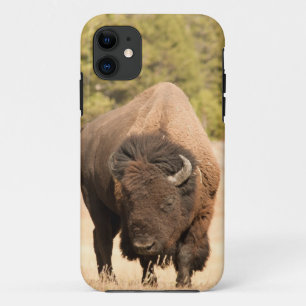 Etui iPhone Case-Mate Bison
