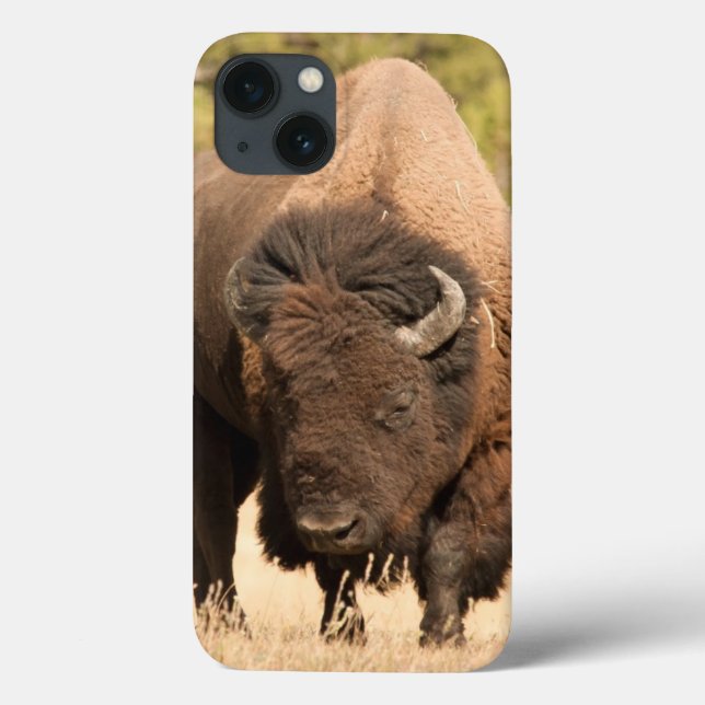 Coques Case-Mate iPhone Bison (Verso)