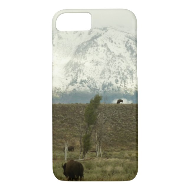 Coques Case-Mate iPhone Bison à Grand Teton National Park Photographie (Dos)
