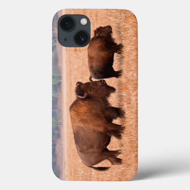 Coques Case-Mate iPhone Bison Américain (Bison Bison) Vache Et Veau (Verso)
