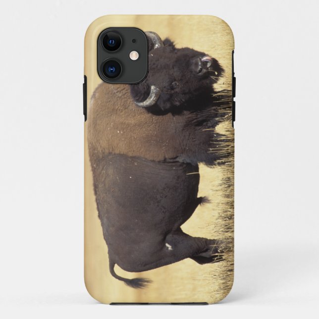 Coques Case-Mate iPhone Bison Bull à Yellowstone National (Dos)