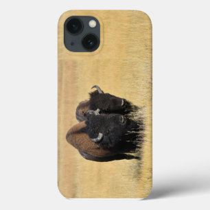 Case-Mate iPhone Case Bison dans le parc national de Yellowstone