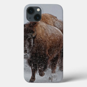 Coques Pour iPhone Bison de Yellowstone
