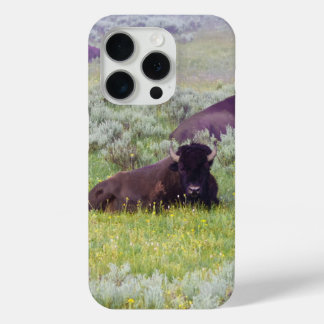 Coque iPhone 15 Pro Bison Dreams Phone Wallet