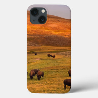 Etui iPhone 13 Bison frôlant sur la colline à la vallée de Hayden