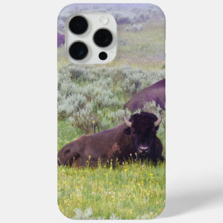 Coque iPhone 15 Pro Max Bison iPhone 15 Pro Max Case