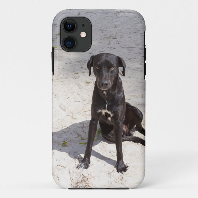 Coques Case-Mate iPhone Black dog avec evil eye (Dos)