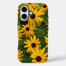 Black Eyed Susan