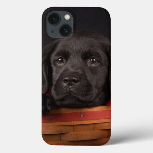 iPhone 13 Case Black labrador retriever puppy in a basket